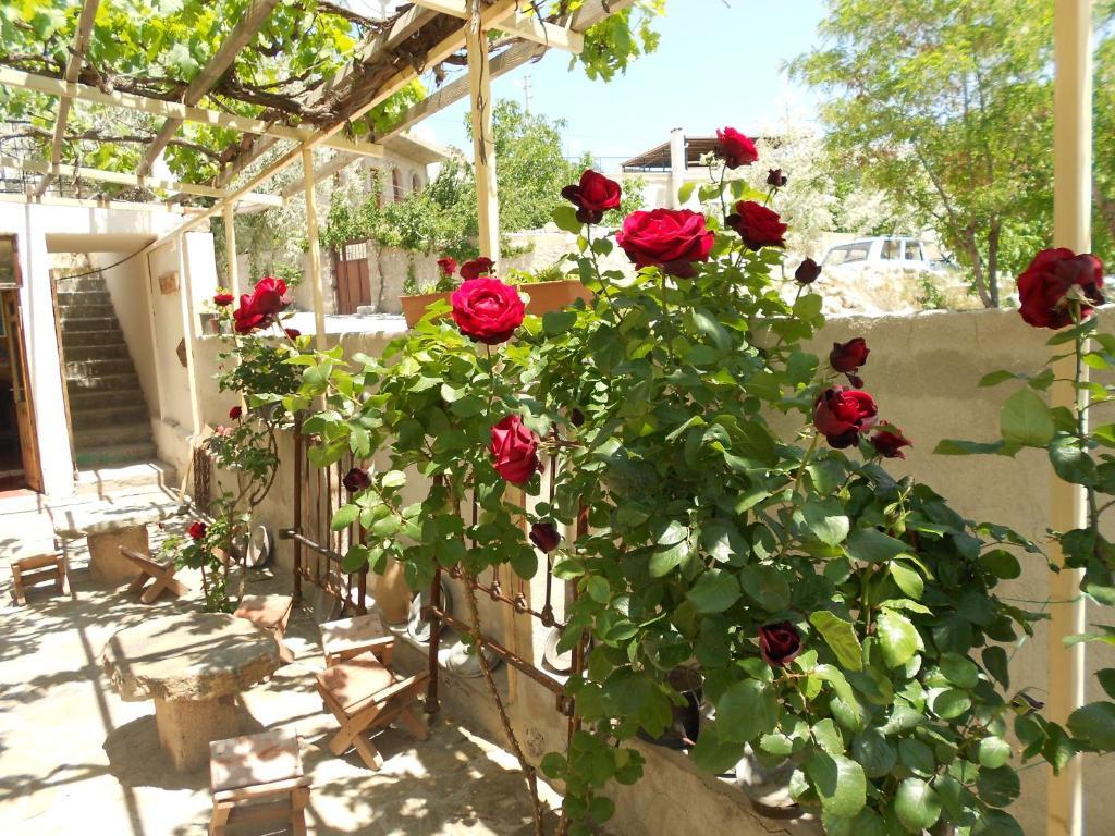 Valleypark Hotel Nevşehir Zewnętrze zdjęcie